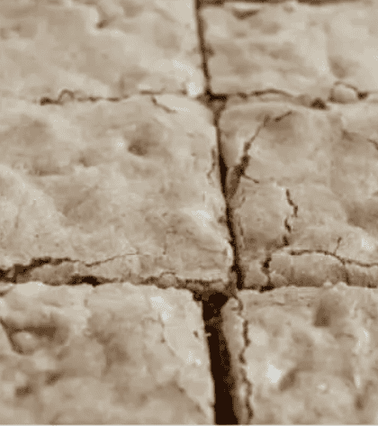 Mary Berry Butterscotch Traybake