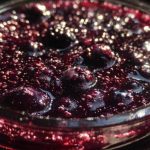 Mary Berry Blueberry Jam
