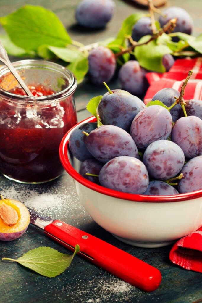 Mary Berry Damson Jam